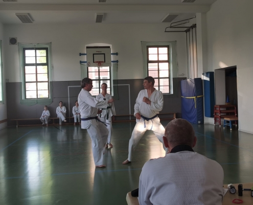 Taekwondo Freikampf